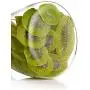 Shelf Floating Seal Storage Jar Transparent Glass Jar Storage Tank Food Dried Fruit Miscellaneous Grains Tea Pot Storage Bottle (bamboo Plug). (Size : B)