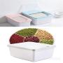 Moisture-Proof Cereal Storage Box, for Storing Rice, Flour, Dry Food, Pet Food and More, Container Grain Organizer Insect-Proof Plastic Rice jar