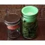 Divider Cup for Wide Mouth Mason Jars - For Salads, Dips, and Snacks (Mint Green) Divider Cup for Wide Mouth Mason Jars - For Salads, Dips, and Snacks (Mint Green)
