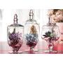 Glass Candy Jars with Lids Clear Glass Apothecary Jars - Set of 3 - Wedding Candy Buffet Containers (Small, Clear)