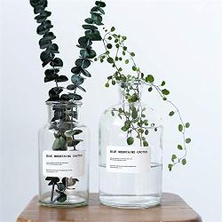 Transparent Glass Storage Jars Chic Dry Flower Vase Scandinavian Fresh Floral Container Desktop Decor Organizer Jar,250Ml Big Bouth