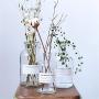 Minimalist Chic Glass Storage Jars Scandinavian Vogue Elegance Transparent Desk Storage Bottle Organizer Flower Vase Decor,500Ml Big Bouth