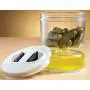 Miles Kimball Pickle Jar Miles Kimball Pickle Jar