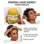 Carols Daughter Mimosa Hair Honey Shine Pomade For Dry Hair and Textured Hair, with Shea Butter and Cocoa Butter, Paraben Free Hair Pomade, 8 fl oz (Packaging May Vary) Carols Daughter Mimosa Hair Honey Shine Pomade For Dry Hair and Textured Hair, with Shea Butter and Cocoa Butter, Paraben Free Hair Pomade, 8 fl oz (Packaging May Vary)