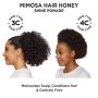 Carols Daughter Mimosa Hair Honey Shine Pomade For Dry Hair and Textured Hair, with Shea Butter and Cocoa Butter, Paraben Free Hair Pomade, 8 fl oz (Packaging May Vary)