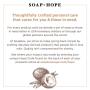 Soapbox Deep Conditioner, 12 oz Jar, Hydrating Deep Conditioning Hair Treatment for Natural, Curly, Dry or Damaged Hair | Sulfate Free, Paraben Free, Cruelty Free, Silicone Free, and Vegan
