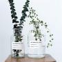 | Storage Bottles & Jars | Minimalist Chic Glass Storage Jars Scandinavian Vogue Elegance Transparent Desk Storage Bottle Organizer Flower Container Decor | by HUDITOOLS | 1 PCs