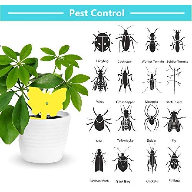 Garsum Fruit Fly Sticky Trap for Indoor and Outdoor, Fungus Gnat Killer for Houseplant,Mosquitos, Flying Insect, White Flies, 48