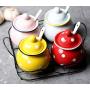 Ceramics Dot Sugar Salt Pepper Storage Jar Seasoning Pot with Lid And Spoon