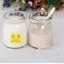 Astra Shop Joghurtgläser Puddinggläser mit Deckel (3oz) 1 Set (6 Gläser) Ersatzglasgläser für Joghurtmaschinen