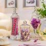 3 Piece Set Glass Apothecary Jars Weddings Food Storage Tank Buffet Candy Storage Bottles by Candora 3 Piece Set Glass Apothecary Jars Weddings Food Storage Tank Buffet Candy Storage Bottles by Candora