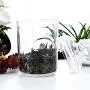 Middle Acrylic Storage Jar, Airtight Lid with Silicon Sealing Ring | Perfect Canister for Sugar, Salt, Tea, Spices, Herbs, Condiments | 700ML/24OZ Middle Acrylic Storage Jar, Airtight Lid with Silicon Sealing Ring | Perfect Canister for Sugar, Salt, Tea, Spices, Herbs, Condiments | 700ML/24OZ