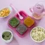 green sprouts Fresh Baby Food Glass Cubes (4 Pack, 2 Oz) | Store, carry, heat, & serve homemade baby food | Tempered glass is durable & shatter-resistant, Lid provides leak-proof seal, Dishwasher safe