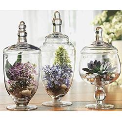 Home Essentials 3013 Apothecary Jar BB Terra Set of 3