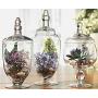 Home Essentials 3013 Apothecary Jar BB Terra Set of 3