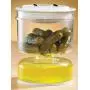 Miles Kimball Pickle Jar Miles Kimball Pickle Jar