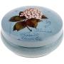 Flameer Food Storage Bins with Lids, Cookie Containers Mini Candy Canes for Storing All Your Cookies and Delicious Snacks - Blue