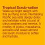 Alba Botanica Revitalizing Sea Salt Hawaiian Body Scrub, 14.5 oz.