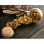 Emoyi Set of 2 Clear Glass Storage Jar Canister Set with Cork Stopper/Bamboo Lid