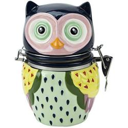 Hinged Jar, Artsy Owl Collection, Hand-painted Earthenware Storage Container by Boston Warehouse