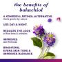 Burts Bees Renewal Firming Moisturizing Cream with Bakuchiol Natural Retinol Alternative – 1.8 ounces (Packaging May Vary)