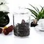 Middle Acrylic Storage Jar, Airtight Lid with Silicon Sealing Ring | Perfect Canister for Sugar, Salt, Tea, Spices, Herbs, Condiments | 700ML/24OZ Middle Acrylic Storage Jar, Airtight Lid with Silicon Sealing Ring | Perfect Canister for Sugar, Salt, Tea, Spices, Herbs, Condiments | 700ML/24OZ