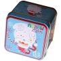 Serenable Mini Candy Storage Containers Tea Tins Coffee Tins Food Storage Container for Tea, Coffee, Herb, Candy, Chocolate, Sugar, Spices - Square - C, 8x7.5x6.5cm
