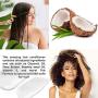Deep Conditioning Hair Mask Treatment - 100% Natural Hair Mask Treatment For Dry Damaged Hair Deep Conditioner Hair Masks Coconut Hair Mask For Hair Growth Moisturizer Hair Care Packaging May Vary
