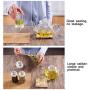 PPLK Glass Storage Tank Kitchen Transparent Dried Fruit Miscellaneous Grains Jar Tea Storage Bottle Food Sealed Cans