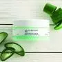 The Body Shop Aloe Soothing Day Cream Regular, 1.7 Ounce (Packaging May Vary)