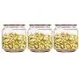 Glass Sealed Jars, Kitchen Household Grain Storage Tanks, Storage Jam/Honey/Coffee/Nuts Glass Sealed Jars, Kitchen Household Grain Storage Tanks, Storage Jam/Honey/Coffee/Nuts