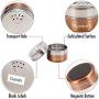 Skymore 12 Pcs Magnetic Spice Tins, Stainless Steel Jar, kitchen spice storage containers, Round Storage Containers with Top Lid with Sift or Pour,Stickers, Great for For Salt, Pepper or Seasoning