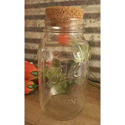 Ball Genuine Clear Mason JAR (Quart) with Large Cork Lid/Stopper