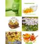 Supercream 1oz Advanced Quality Skincare Natural Organic Skin Conditioner