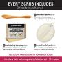 pureSCRUBS Premium Organic Body Scrub Set - Large 16oz LAVENDER BODY SCRUB - Dead Sea Salt Infused Organic Essential Oils & Nutrients INCLUDES Wooden Spoon, Loofah & Mini Organic Exfoliating Bar Soap