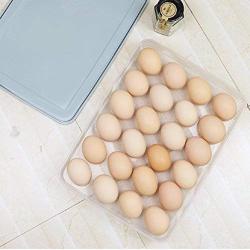 Covered Eggs Holder - Refrigerator Storage Container, 24 Egg Tray (Blue)