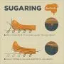 Sugaring Paste ''Luxury HOME'' – MEDIUM all purpose paste - Organic Hair Removal - Long Lasting Sugar Wax Sugaring Paste ''Luxury HOME'' – MEDIUM all purpose paste - Organic Hair Removal - Long Lasting Sugar Wax