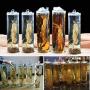 Glass Sealed Jars, Moisture-Proof Kitchen Food Containers, Storage Of Cereals/Pasta/Oatmeal/Walnut