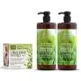 Dead Sea Collection Mineral Hand Wash with Tea Tree (set of 2 33.8 fl.oz) & Dead Sea Collection Tea Tree & Hemp Night Cream 1.69 fl.oz