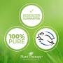 Plant Therapy Crisp Pear & Quince Anti-Age Body Cream with Whipped Shea Butter and Argan Oil 8 oz; 100% Vegan, Hydrating and Skin Firming
