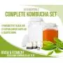 2er Pack Scoby mit 1 Gallone Glas Kombucha Einfachstarter-Set zum Hausebrauen und Fermentieren mit Tuchfilter, Gummiband und Plastikdeckel – von Kitchentoolz