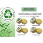 Nutricare Plus Burnicare All Purpose Salve, Balm, 30 Grams, Truly Vegan, Aloe Vera, 5 Herbs, First Aid, Soothes Inflamed Skin, Pain Fast Itching Skin Relief, Cuts, Scrapes, Bruises, Bamboo Glass Jar