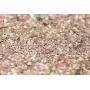 Poudre Holographique Argentée Chunky Glitter ✮ Grand Pot 30g KARIZMA BEAUTY ✮ Poudre Glitter Cosmétique Visage Corps Ongles