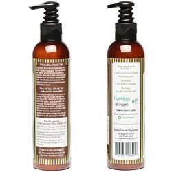 Shea Terra Organics Shea Nilotik’ Oil Fragrance Free for Sensitive Skin |Natural Skin Daily Moisturizer & Conditioner - 8 oz