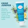 Lume Deodorant For Underarms & Private Parts 3oz Tube (Crisp Juniper)