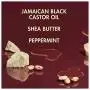 SheaMoisture Jamaika Schwarzkastanienöl Spülung für stark verarbeittes, beschädigtes Haar 100 % reines Jamaika Schwarzkastanienöl zur Weichspülung und Entwirrung – 286 ml / 11 oz