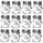 TNKML Mini Glass Clip Top Spice Storage Preserving Jars Jam Container Food Canisters Herbs Pot (Clear)