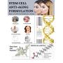Performance Renewal Sculpting Moisturizing Face Cream with Plant Stem Cells Rejuventation Formula