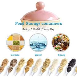 Cookie Jar Ceramic with Lids Airtight, Pottery Food Storage Containers Bpa Free Large for Kitchen Pantry Canisters Bulk Candy Store, 700mL (Color : Coffee)