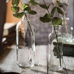 Fine Mouth Glass Storage Bottle Minimalist Scandinavian Vogue Transparent Desk Storage Jar Organizer Flower Container Decor,15 Cm